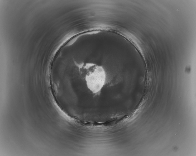 X0000097630851200803142023