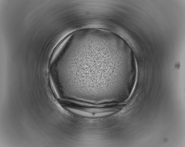 X0000097630852200803142023