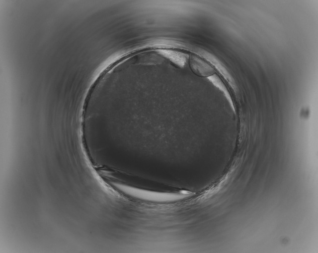 X0000097630853200803142023