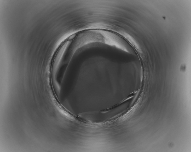 X0000097630854200803142023