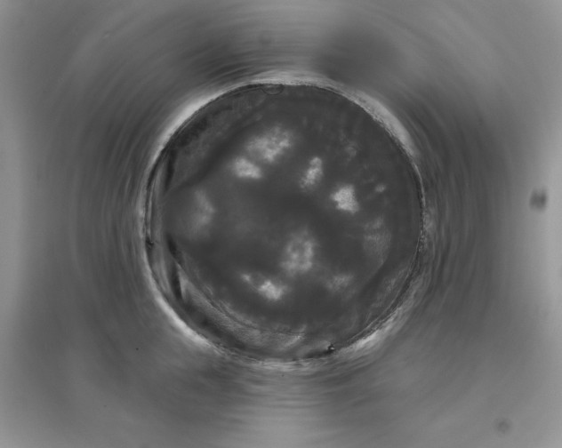 X0000097630855200803142023