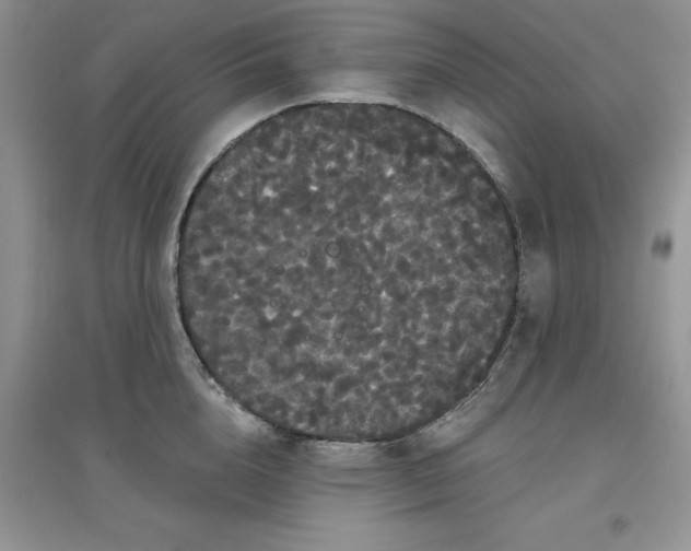 X0000097630856200803142023