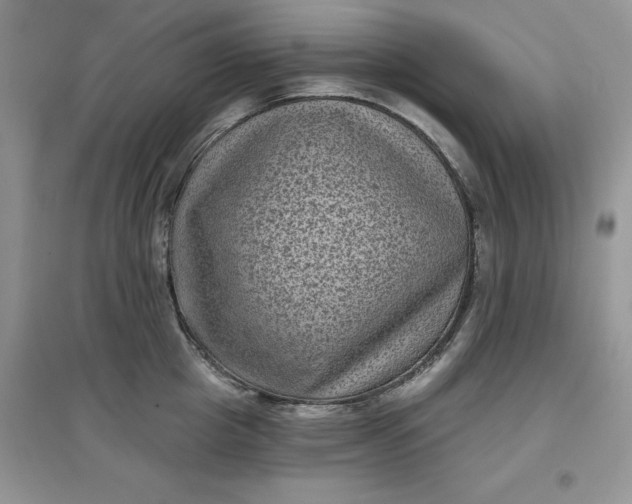 X0000097630857200803142023