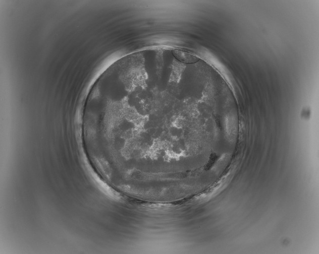 X0000097630859200803142023