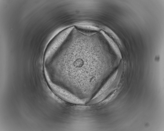 X0000097630860200803142023