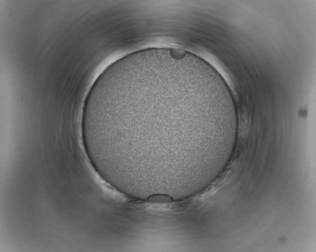 X0000097630861200803142023