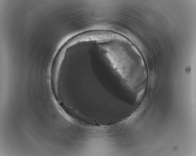 X0000097630862200803142023