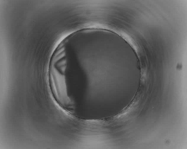 X0000097630863200803142023