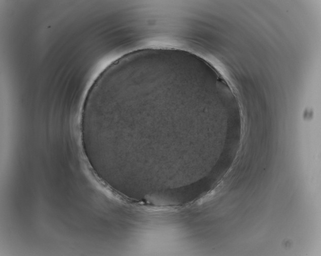 X0000097630864200803142023