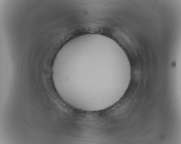 X0000097630865200803142022