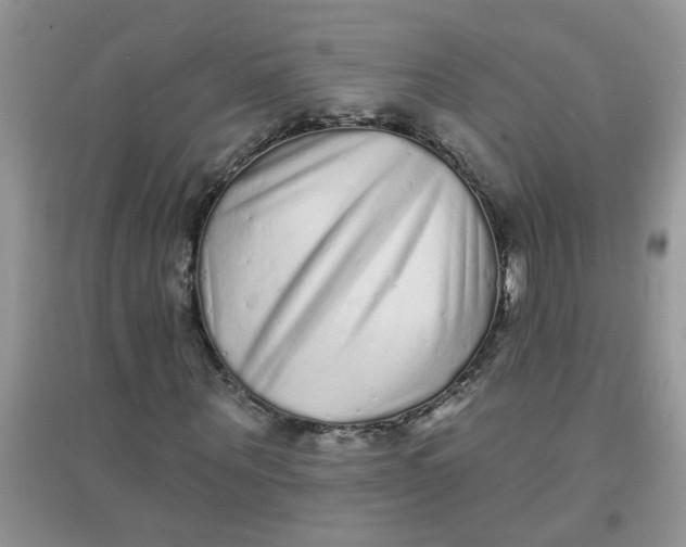 X0000097630867200803142022