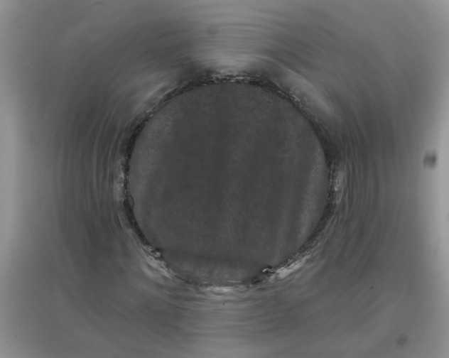 X0000097630868200803142022