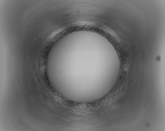 X0000097630869200803142022