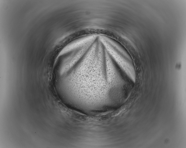 X0000097630870200803142022