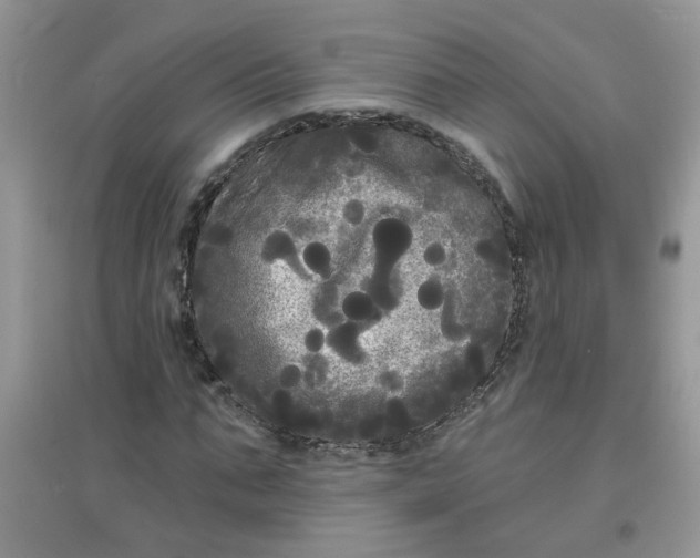 X0000097630871200803142022