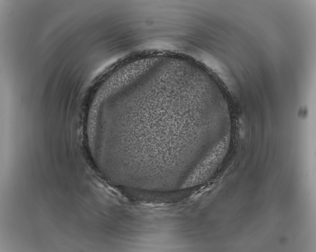 X0000097630872200803142022