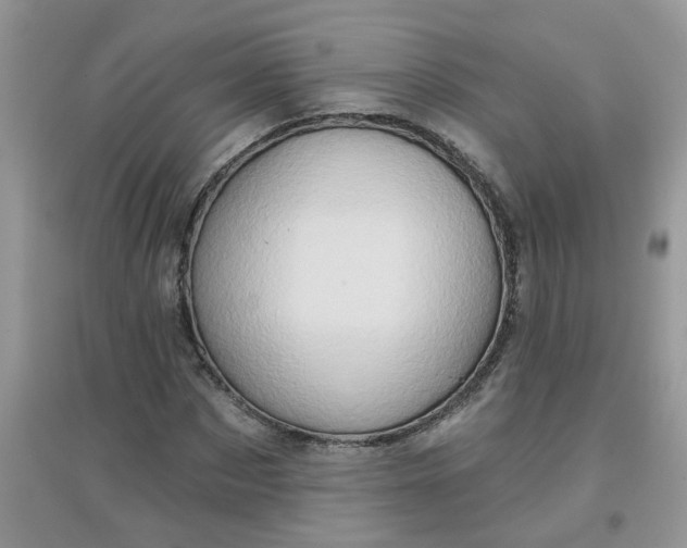 X0000097630873200803142022