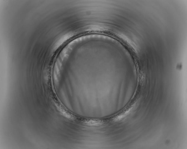 X0000097630874200803142022