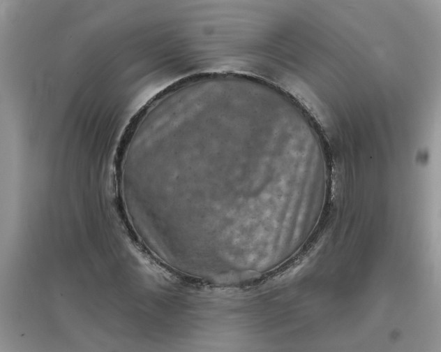 X0000097630876200803142022