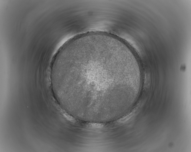 X0000097630878200803142022