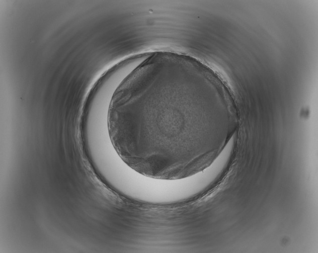 X0000097630880200803142022