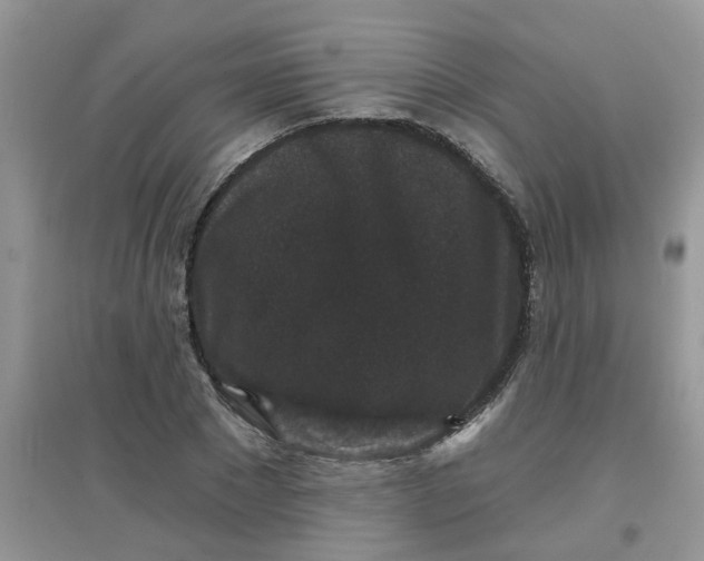 X0000097630881200803142022