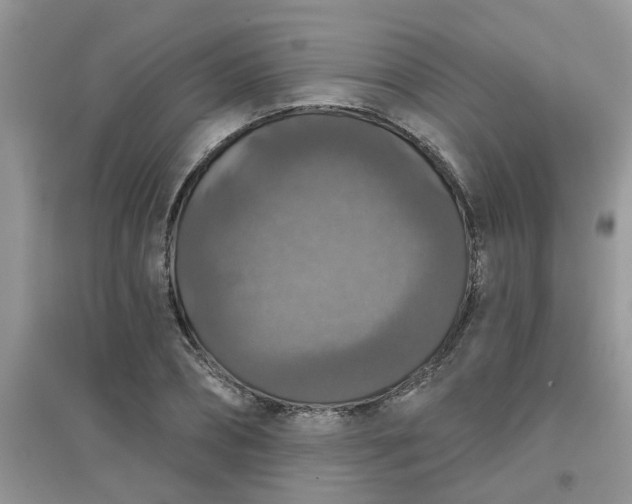 X0000097630882200803142022