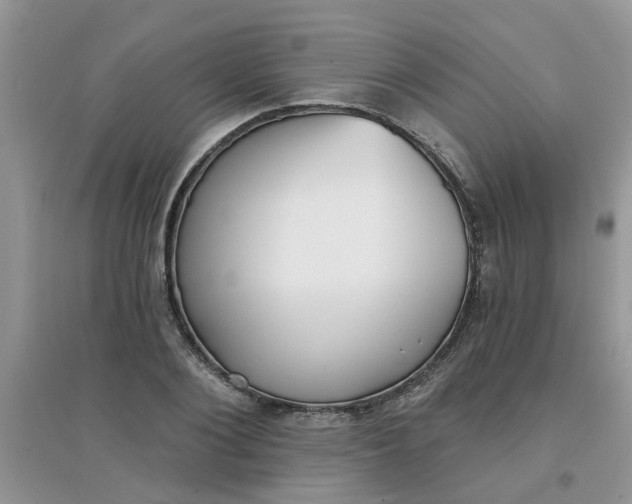 X0000097630884200803142022