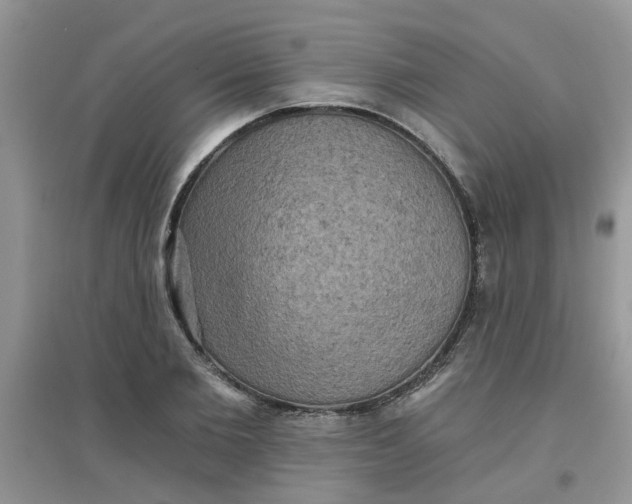 X0000097630885200803142022