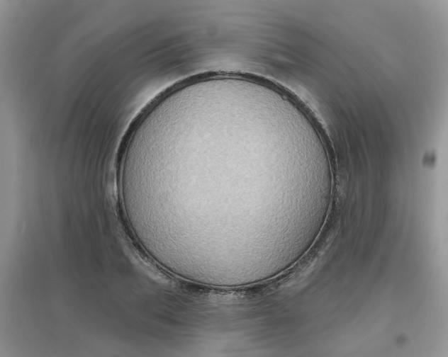 X0000097630887200803142022