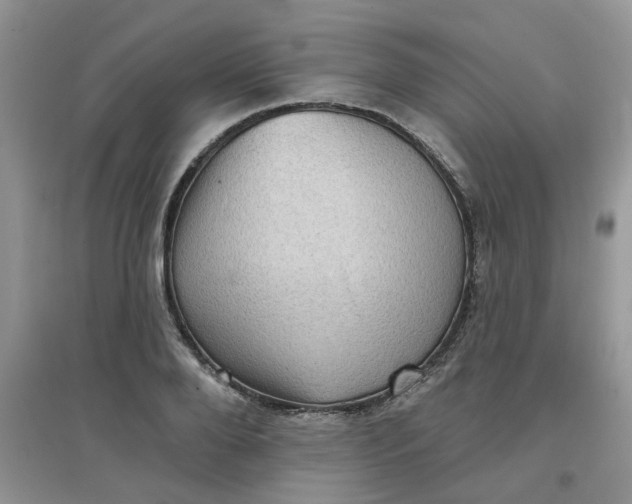 X0000097630888200803142022