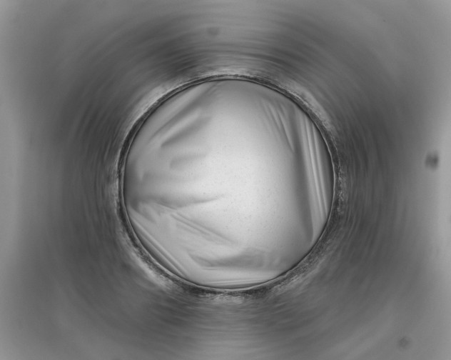 X0000097630890200803142022