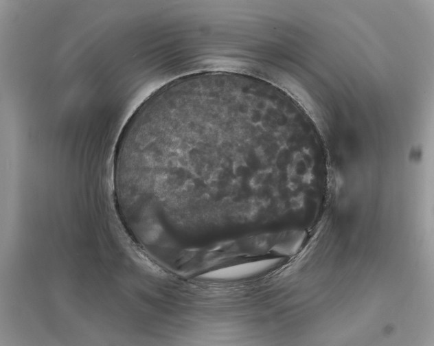 X0000097630891200803142022