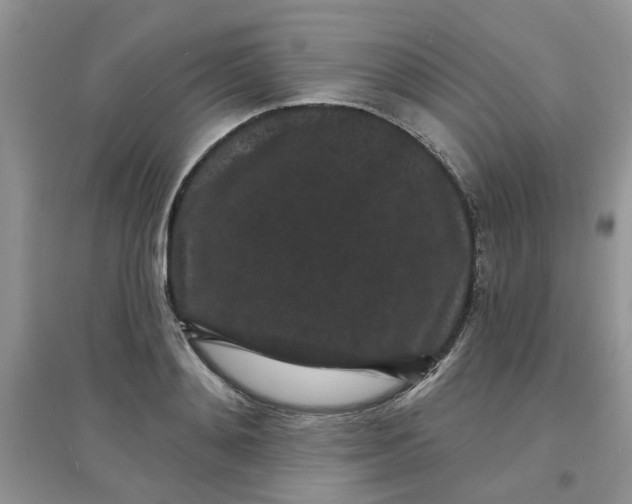 X0000097630892200803142022