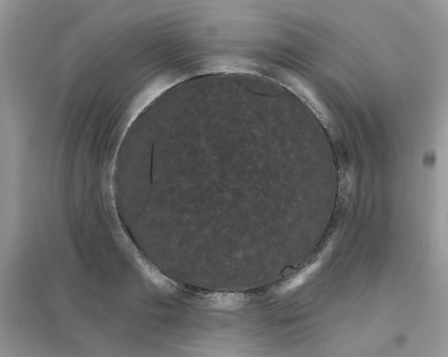 X0000097630893200803142022