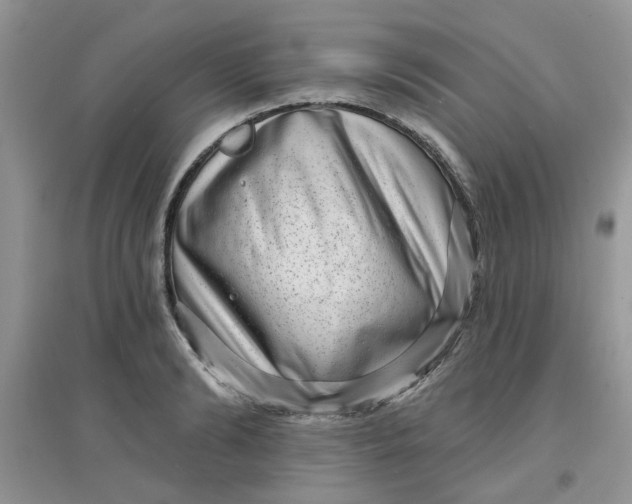 X0000097630894200803142022