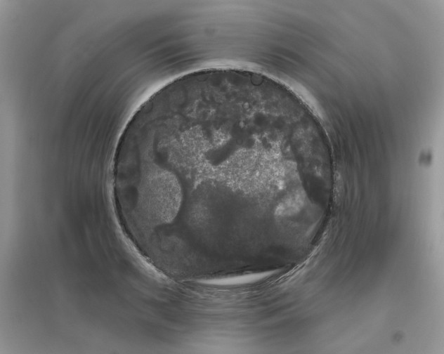 X0000097630895200803142022