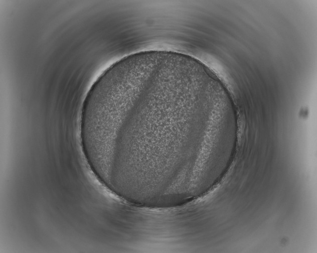 X0000097630896200803142022