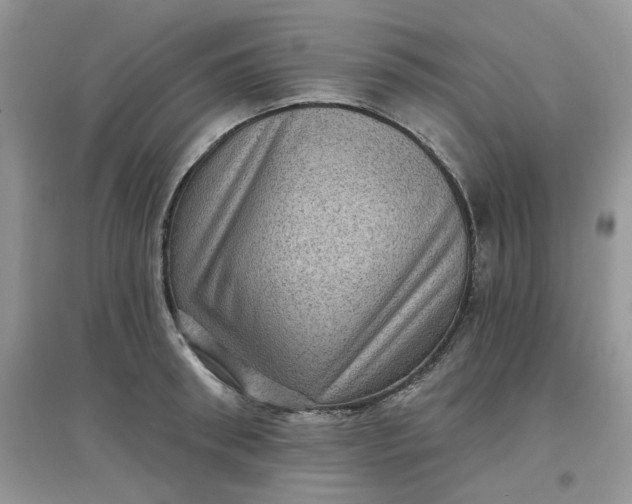 X0000097630898200803142022