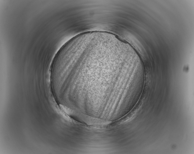 X0000097630900200803142022