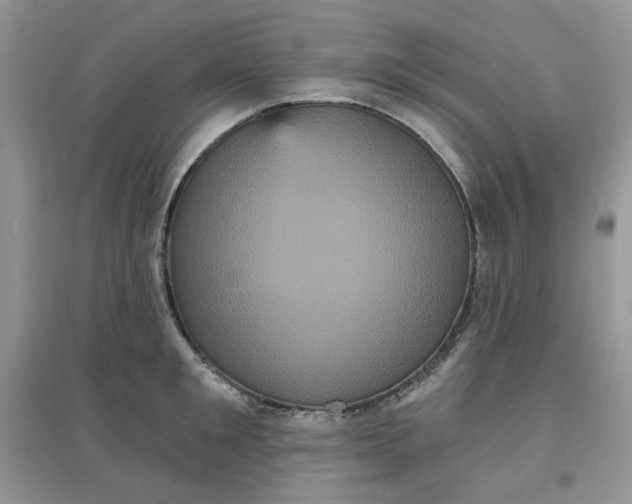 X0000097630901200803142022