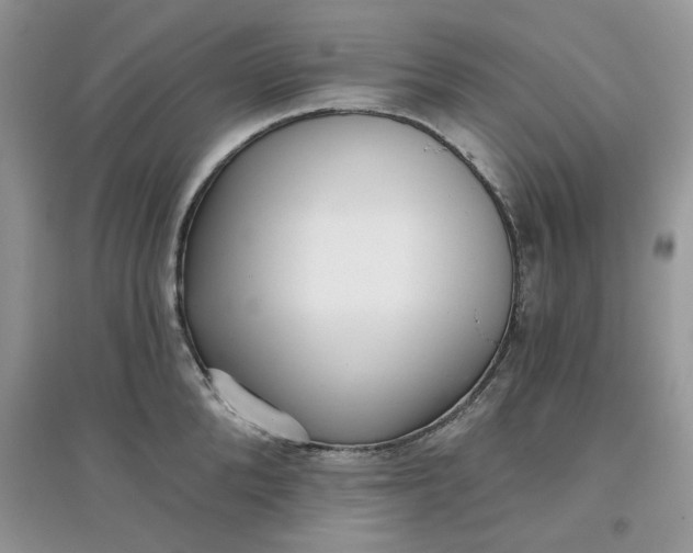 X0000097630904200803142022