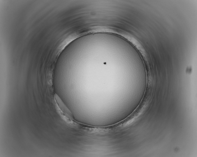 X0000097630905200803142022