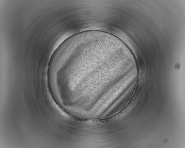 X0000097630906200803142022