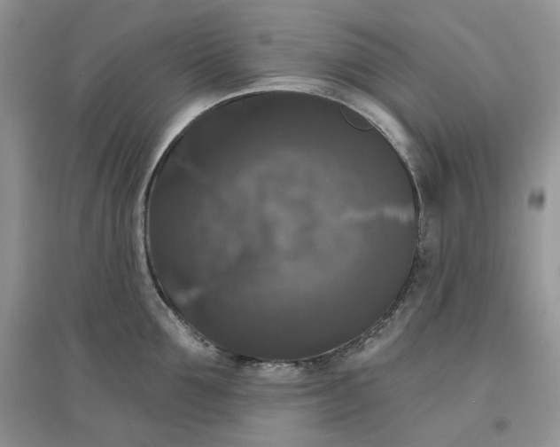 X0000097630907200803142022