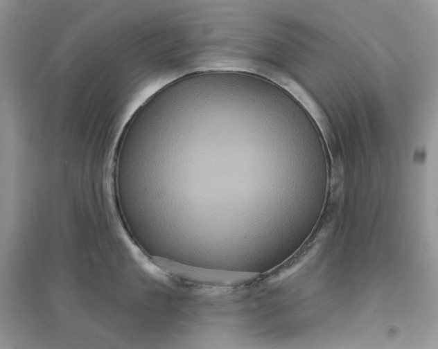 X0000097630909200803142022