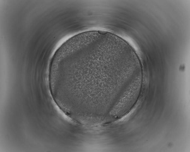 X0000097630910200803142022