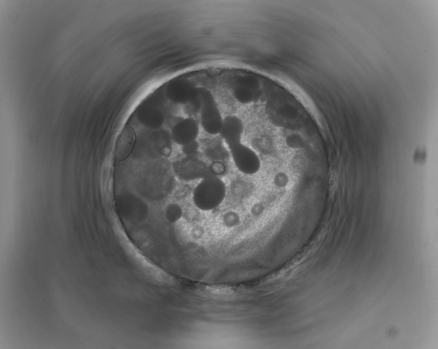 X0000097630911200803142022