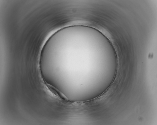 X0000097630912200803142022