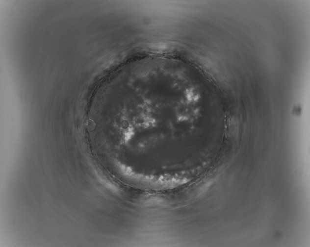 X0000097630913200803142021